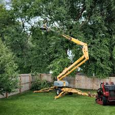 Best Commercial Tree Services  in Rosedale, MS
