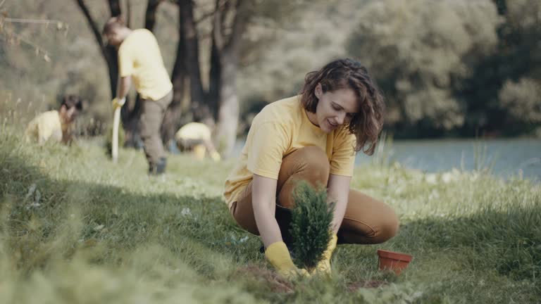 Best Lawn Watering Services  in Rosedale, MS